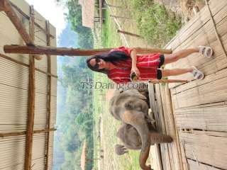 trans girl SENSUALTRIXIE 0861880