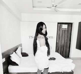 trans girl SHAMIM 7673828 trans girl SHAMIM 7673828