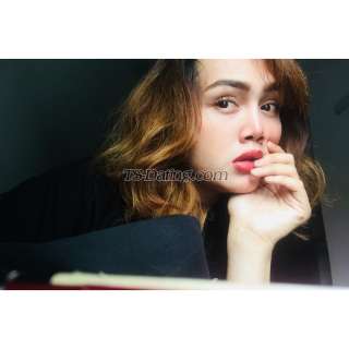 trans girl Sa993 9574555