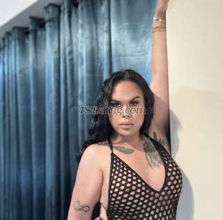 trans girl Saffah 8686936 trans girl Saffah 8686936