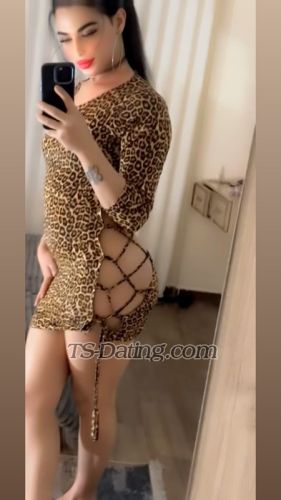 trans girl Safoojohn99 5478201 trans girl Safoojohn99 5478201