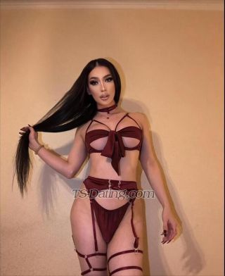 trans girl Sakurarai 1953417 trans girl Sakurarai 1953417