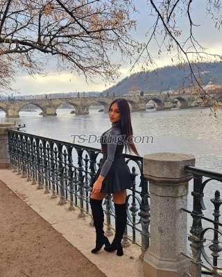 trans girl Samanthafoe 4202429