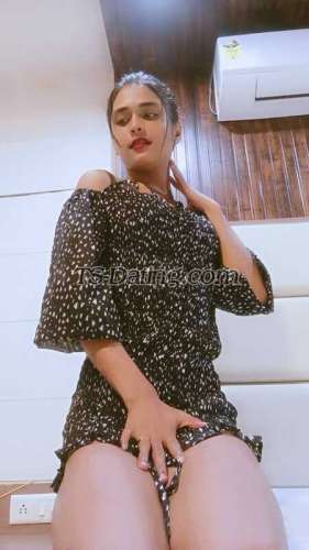 trans girl Samayaroy 5319277 trans girl Samayaroy 5319277
