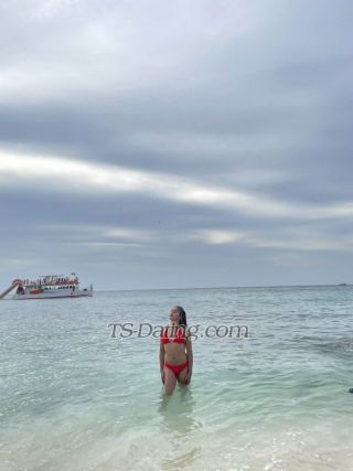 trans girl Samhotie4 8531661 trans girl Samhotie4 8531661