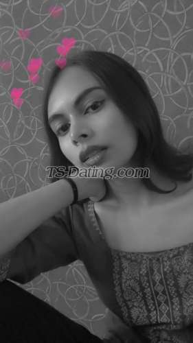 trans girl Sanaansari12 4689982 trans girl Sanaansari12 4689982