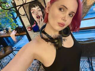 trans girl SandraDeliro 5689707 trans girl SandraDeliro 5689707