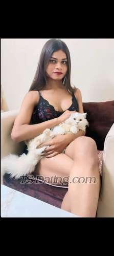 trans girl Saniyasingh 8476571 trans girl Saniyasingh 8476571