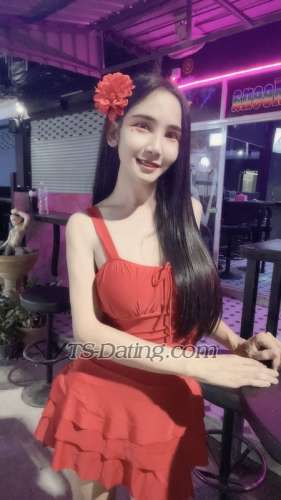 trans girl Sara25324455 0696869 trans girl Sara25324455 0696869