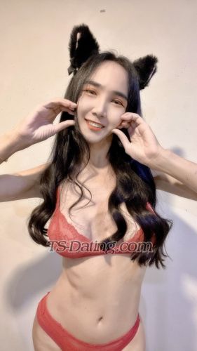 trans girl Sara25324455 4547210 trans girl Sara25324455 4547210