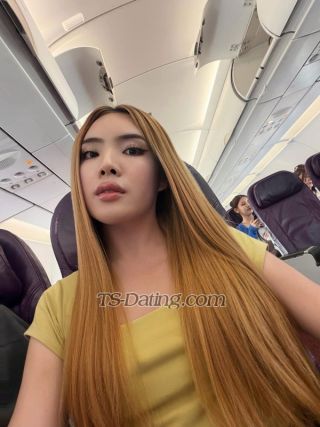trans girl Sara2542 9554071 trans girl Sara2542 9554071