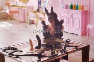 trans girl SaraMichell 2666817 trans girl SaraMichell 2666817