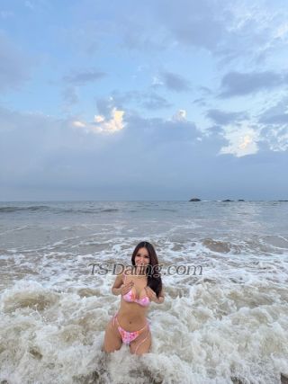 trans girl Sarabarbie 4646593 trans girl Sarabarbie 4646593