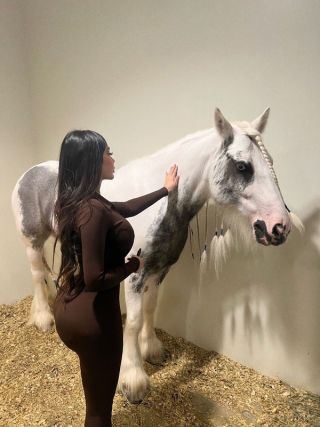 Sarafaris1999-2318811