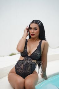 Sarah1605 Jakarta Transex Hi Gentleman Im SARAH The Faboluos and Stunning Trans woman
from sweet to naughty make your dream come true, im here
ready for make you will try about girlfriend experience with
Trans just got home from work .. Im Friendly,
Goodlooking , Sweet , Extrafeminine ,and very Classy but
Fullyfunctional Love be bottom and like being Top ..
Provide to : . 🚫 NO BAREBACK .
BDSM . Special private party and fun . Can show
payment ( Paypal & Skrill )Im sure you will back
for more :) IM :* traveling * mixed
* muslim* cut dick 6inch*
I can speak English , Arabic , Indonesia Love
SARAHcall me now