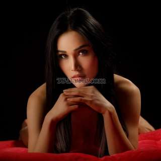 trans girl SarahLisa 6262713 trans girl SarahLisa 6262713