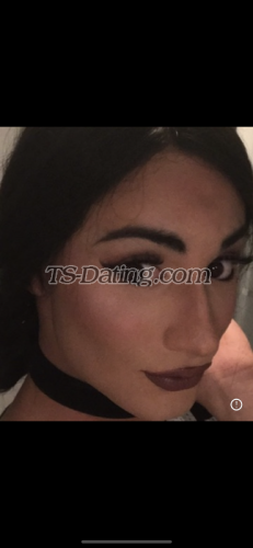 trans girl Sarahabibi 7719539 trans girl Sarahabibi 7719539