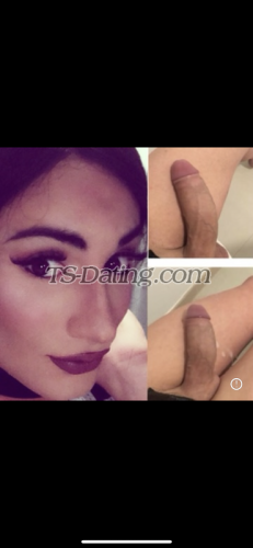 trans girl Sarahabibi 7719663 trans girl Sarahabibi 7719663