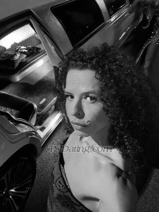 trans girl SashaFerrari 2821917 trans girl SashaFerrari 2821917