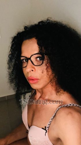 trans girl SashaFerrari 3514012 trans girl SashaFerrari 3514012