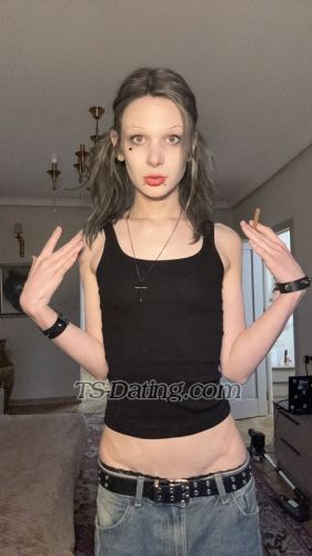 trans girl Sashakiss 6111633 trans girl Sashakiss 6111633