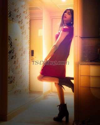 trans girl SassySasha17 2982354 trans girl SassySasha17 2982354