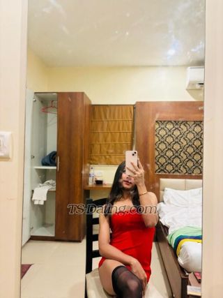 trans girl SassySia 5527009 trans girl SassySia 5527009