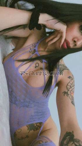 trans girl Satinchile 6886538 trans girl Satinchile 6886538