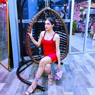 trans girl SaudiFemBoy 7982961