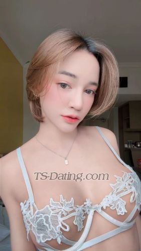 trans girl Saypan 3806293 trans girl Saypan 3806293
