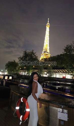 trans girl Sayuricluna 3336039 trans girl Sayuricluna 3336039