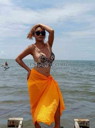 trans girl SdctvErika 2477061