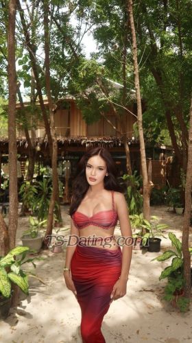 trans girl Sekushibhel 8237654 trans girl Sekushibhel 8237654