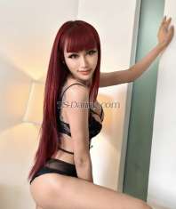 Se nick Kaohsiung Transex Hi I'm  form Thailand  ❗❗If you want or
like something for make you high Think of me, and I'll take
you to heaven. Get high together and threesome
Available My only fans
https://onlyfans.com/svs8888  Telegram
t.me/NickieniceWhatsApp    ➡️ 
+66657783782TETRAGRAM  ➡️    @Sekie8899WECHAT 
       ➡️   Kiekie9898This is my first time in
this city.I'm 'Nickie '  Ladyboy from Thailand I'm
27 years old  big boobs Hot and nice dickI'm I'm very
happy and excited to be able to serve you!
😊😊💋MY CONTACTS💋 WhatsApp   
➡️  +66657783782TETRAGRAM  ➡️   
@Sekie8899WECHAT         ➡️  
Kiekie9898Come meet me guys and you will have a
great experiences My Service ✅ THREESOME
✅SUCKING✅ OUTCALL INCALL✅BOTTOM
✅TOP✅HIGTH TOGETHER ✅LICKING
BALLS✅RIMMING✅FUCKING
HARD✅KISSING✅69✅DEEPTHROAT✅BDSM
✅CUM IN FACE✅CUM IN
BOOBS✅FETISHES✅GIRLFRIEND
EXPRIENCEContact me, my love. I'm waiting for you.
😍😍