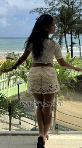 trans girl SexiqueLuxe 7892888 trans girl SexiqueLuxe 7892888