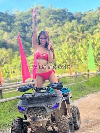 trans girl SexyAlex 8854855 trans girl SexyAlex 8854855