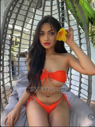 trans girl SexyDisha 1263270 trans girl SexyDisha 1263270