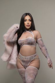 SexyHighMarie Seoul Transex Wechat: steffyrose11Line: steffyy11Telegram-
steffy1111IF YOU ASK ME FOR PHOTO IN
WHATSAPPIT WILL BE BLOCKED AUTOMATICALLY.IN
ATHENSCAM SHOW PAYMENT BY - - PAYPALI don’t
accept other type of payment.70$ 7 minutes.My
name is Manika, I'm Half Kazaktanian-Half
Filipino.I’m 24 years old, exactly like the photos,
professional and also amateur photos made by themselves at
home. No retouching on face and body, 100% faithful to
photos5'3 tall my body fitness with a very
volaptous and feminine and a thick surprise ready to
you.my cock 18 cm very hardIm Active and also good
passive.No disappointment .My prices is not
negotiableCONTACT 30 MINUTES BEFORE FOR A
APPOINTMENT:-In sex i can make all your fantasies and
fetish. ( ask for prices )Im very polite with all
.EXTRA ABOUT
SERVICESDOMINANT69Party’sGolden shower
( I make )- I can cum a lot for you is also
extraHumiliation, spank face, spank ass, spit..All
the first timers are super welcomeim very friendly
don’t worry.