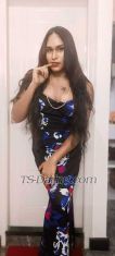 Sexy Shila Bangalore Transex Sexy mistress SHILA( only high profile clients contact me) 
Is there for all kind of slaves
Be ready ur self for heart kind of BDSM assalt
I like to be dirty kind of talking and torture my slave till he tried on my feet                               
           I am a very nasty kind of mistress
           Who gonna make your mind and body satisfying with my dirty role play
So bang on all u dirty slaves for me I am going to be your mistress for your whole life
I am going to control you totally your mind and your body is in my control if you are break any of my rules then you are be punished sexually different kind of     golden shower on your face and your body is waiting for you that and you have to swallow it without any regression , I like to be to make my slave like a dog treat you like my little pussy cat and punished him till he cry for his freedom,         
    ( that's for my favourite kind of BDSM service specially for my slaves)
                   If feel sometime for romantic sexual experience then I have all pleasure making sexual satisfy romantic sex date for you
Husband aur wife kind of experience make your mind and body satisfying services,.                        
                    I'm all so a very kind person 
In general depends on you that how you are one from me
Experience and normal sexual life on it different kind of sexual pleasure that you think on your dream
