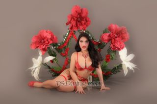 trans girl Sexyeva23 8494000 trans girl Sexyeva23 8494000