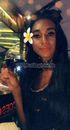 trans girl Sexyexotic 4928222 trans girl Sexyexotic 4928222