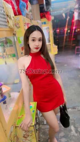 trans girl Sexyhoney 2951979