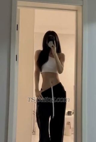 trans girl Sexylolo 6613217 trans girl Sexylolo 6613217