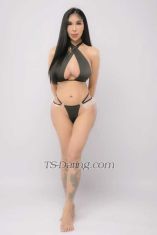 Sexy mj Taichung TS escort 
