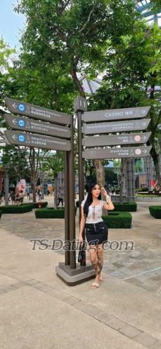 trans girl Sexymj 0029797 trans girl Sexymj 0029797