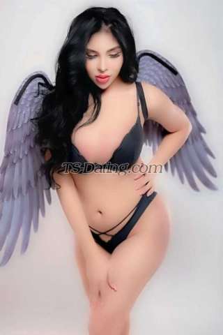 trans girl Sexymj 0496434 trans girl Sexymj 0496434