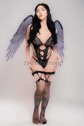 trans girl Sexymj 0496886 trans girl Sexymj 0496886