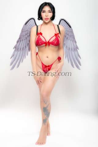 trans girl Sexymj 5929387 trans girl Sexymj 5929387