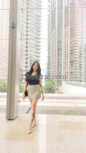 trans girl Sexymj 7325320 trans girl Sexymj 7325320