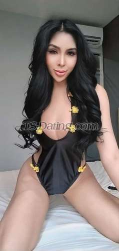 trans girl Sexymj 7386728 trans girl Sexymj 7386728